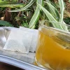 Premium Peru Coca Tea Bags